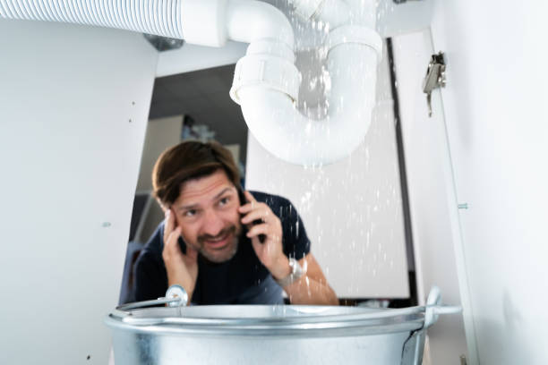 Best Clogged Drain Plumber  in Piedmont, SD
